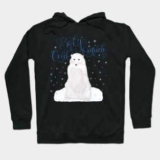 Baby it's cold outside Hoodie